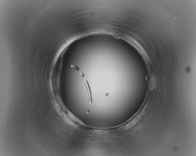 X0000096990812200802151351
