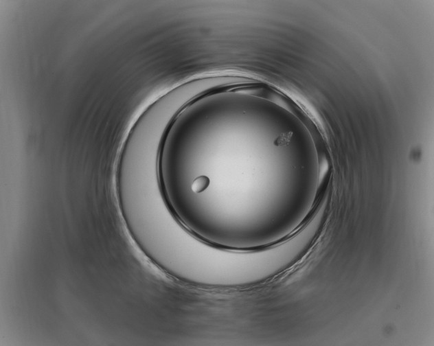X0000096990813200802151351