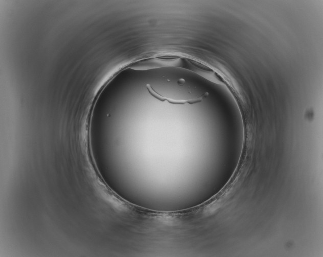 X0000096990814200802151351