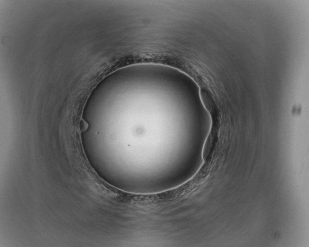 X0000096990817200802151350