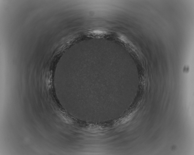 X0000096990818200802151350