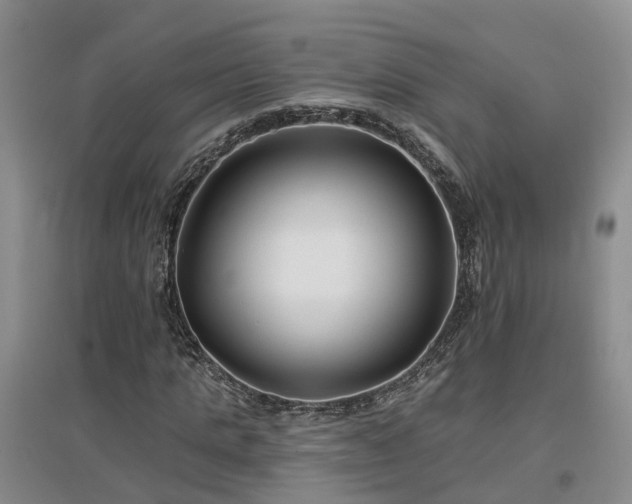 X0000096990821200802151350