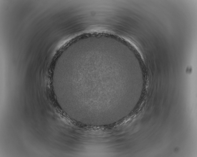 X0000096990823200802151350
