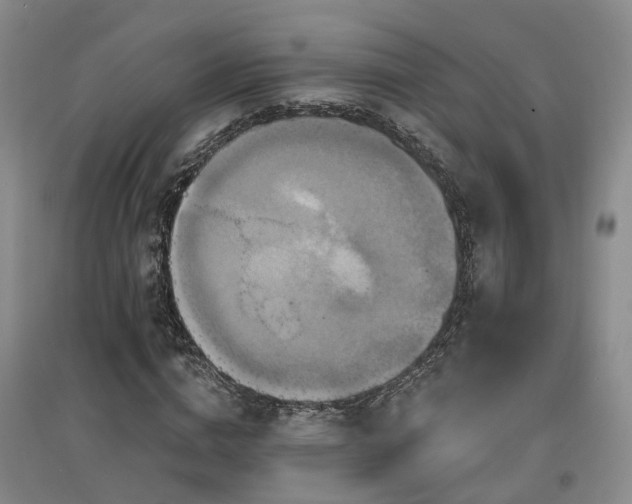 X0000096990824200802151350
