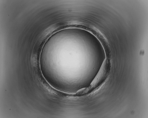 X0000096990825200802151350