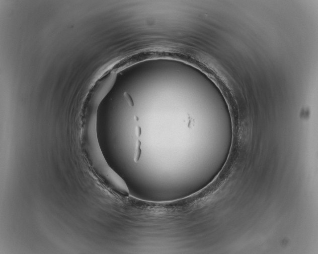 X0000096990829200802151350