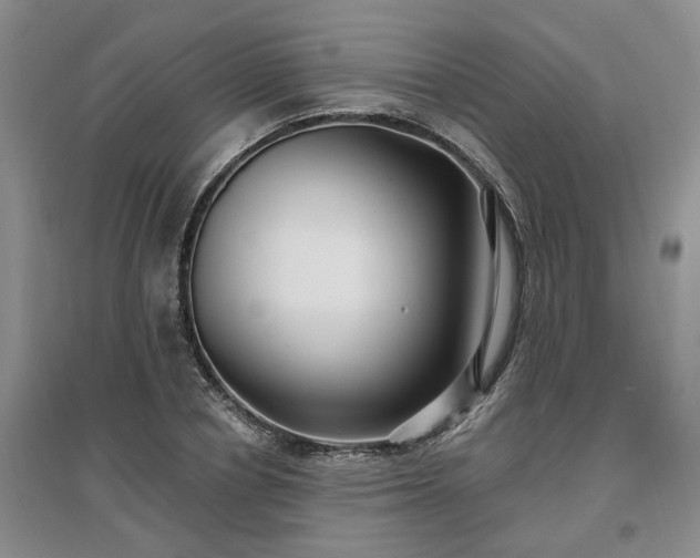 X0000096990834200802151350
