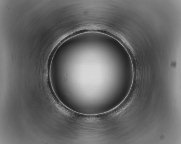 X0000096990837200802151350