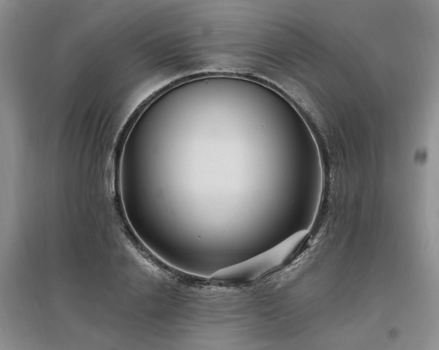 X0000096990838200802151350