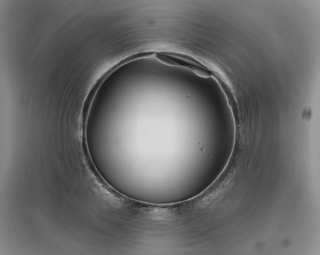 X0000096990839200802151351