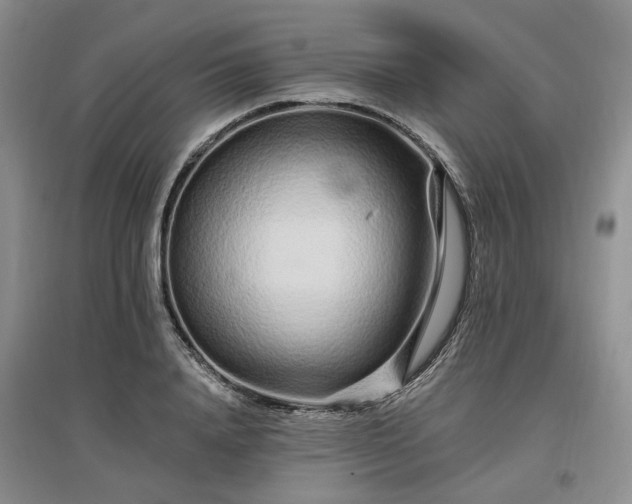 X0000096990840200802151351