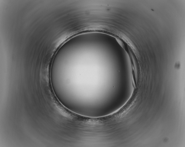 X0000096990842200802151351