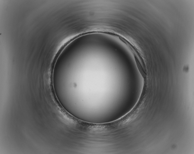 X0000096990846200802151351