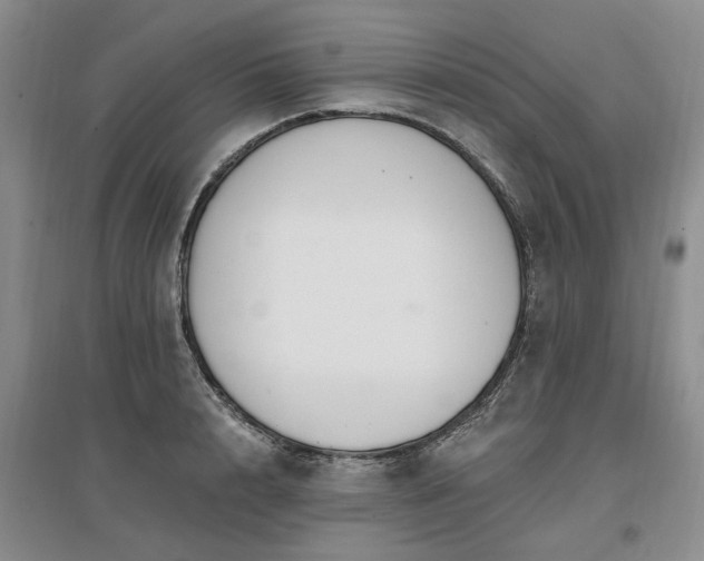 X0000096990848200802151351