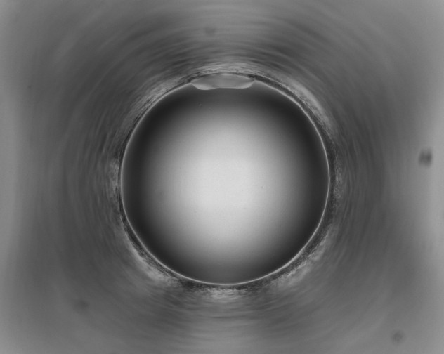 X0000096990849200802151351
