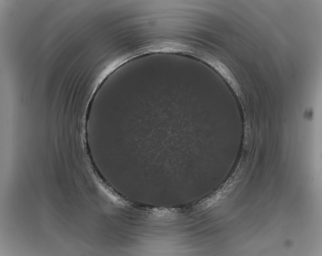 X0000096990850200802151351