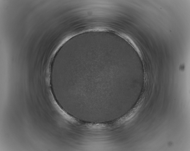 X0000096990851200802151351