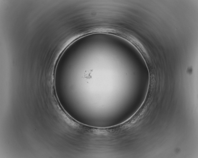 X0000096990852200802151351