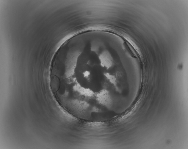 X0000096990853200802151351