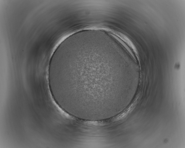X0000096990855200802151351