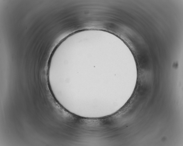 X0000096990856200802151351