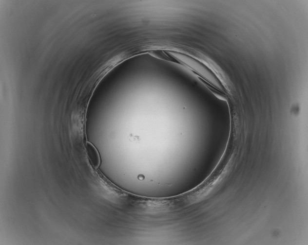X0000096990857200802151351