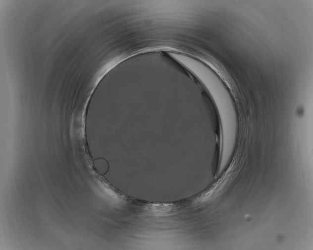 X0000096990858200802151351