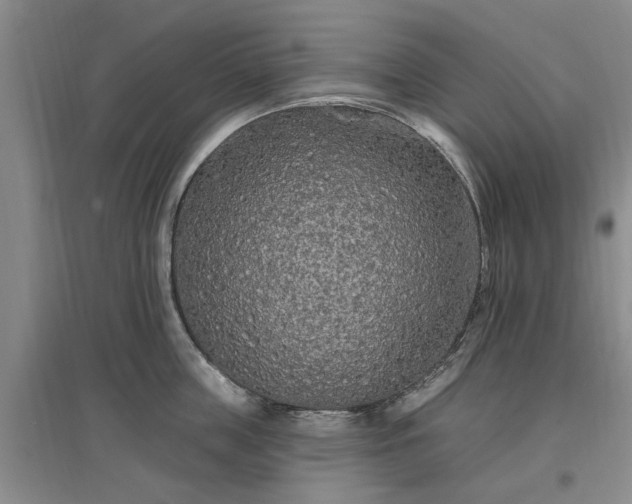 X0000096990859200802151351