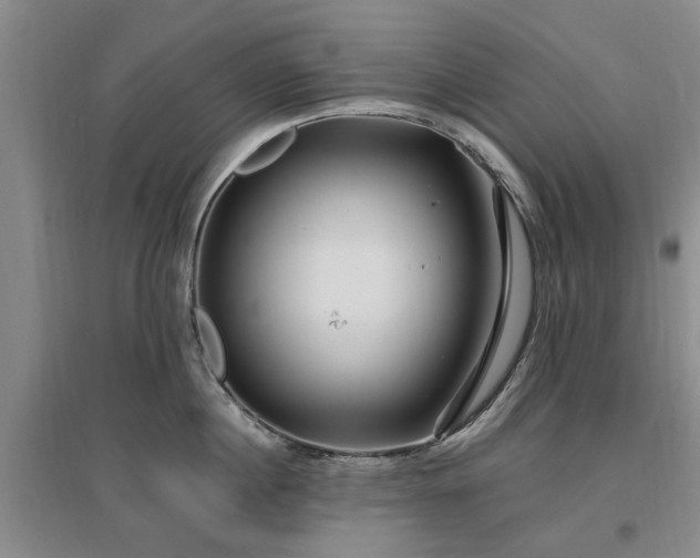 X0000096990860200802151351