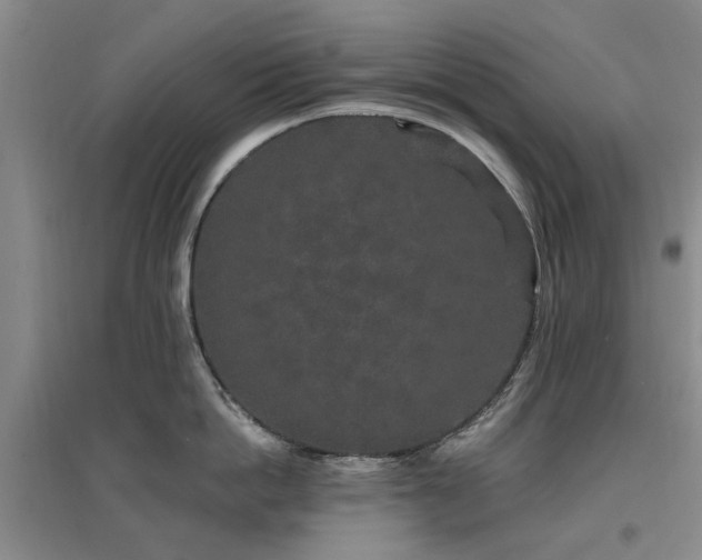 X0000096990862200802151351