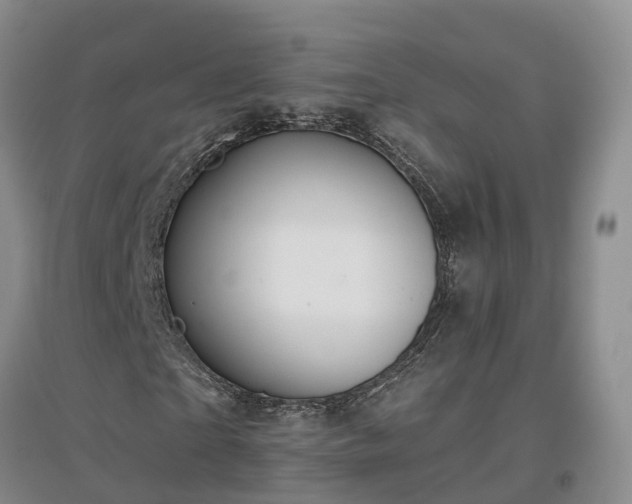 X0000096990865200802151350