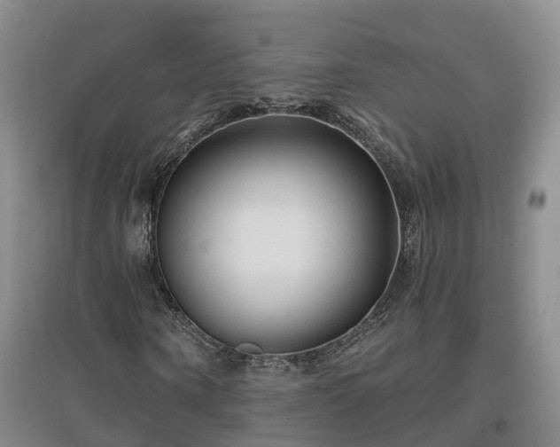 X0000096990866200802151350