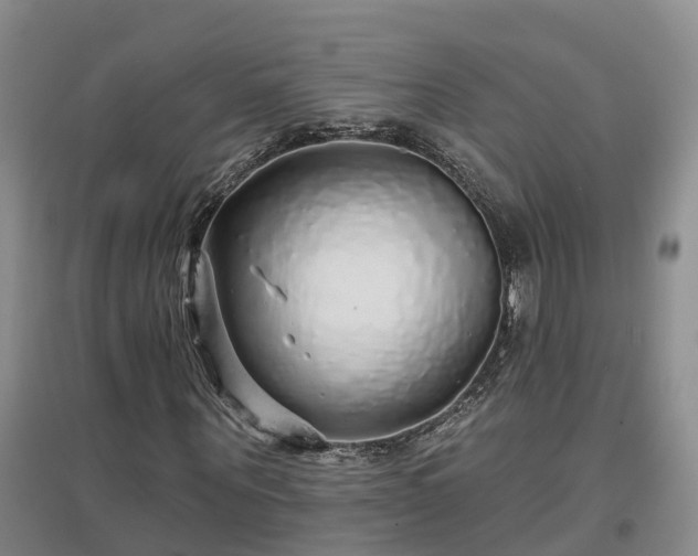 X0000096990867200802151350