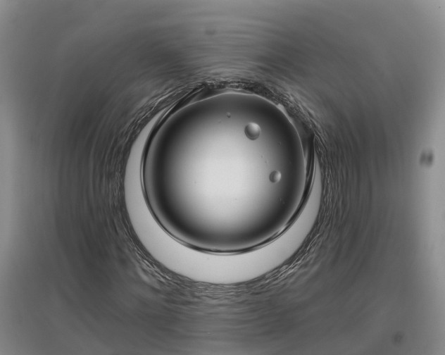 X0000096990868200802151350