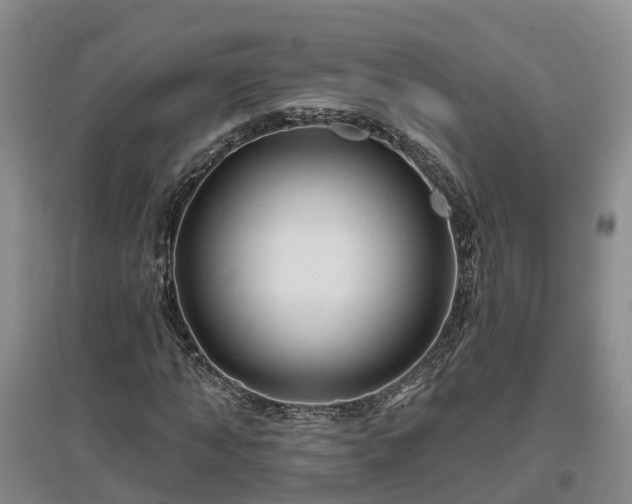 X0000096990870200802151350