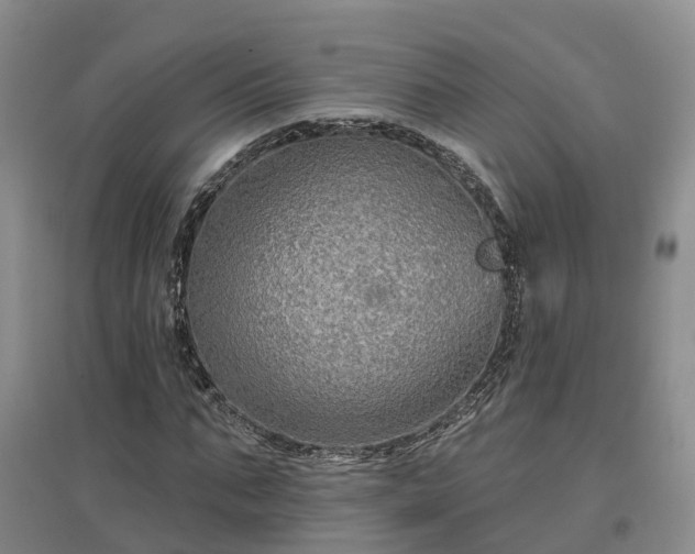 X0000096990871200802151350