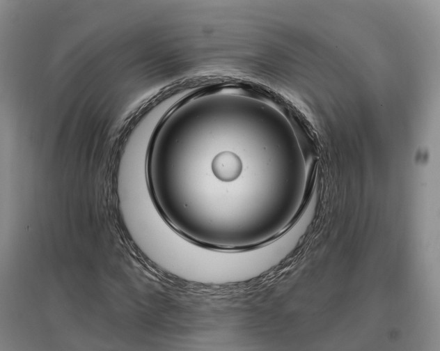 X0000096990872200802151350