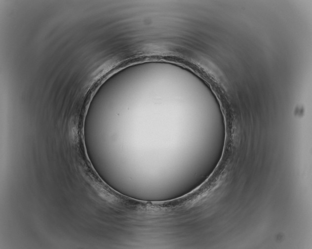 X0000096990873200802151350
