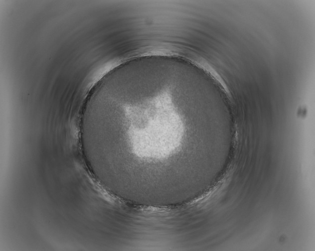 X0000096990874200802151350