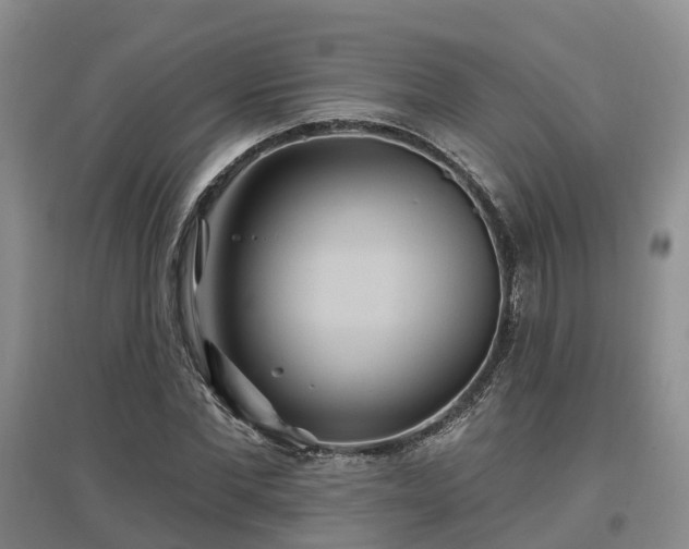 X0000096990877200802151350