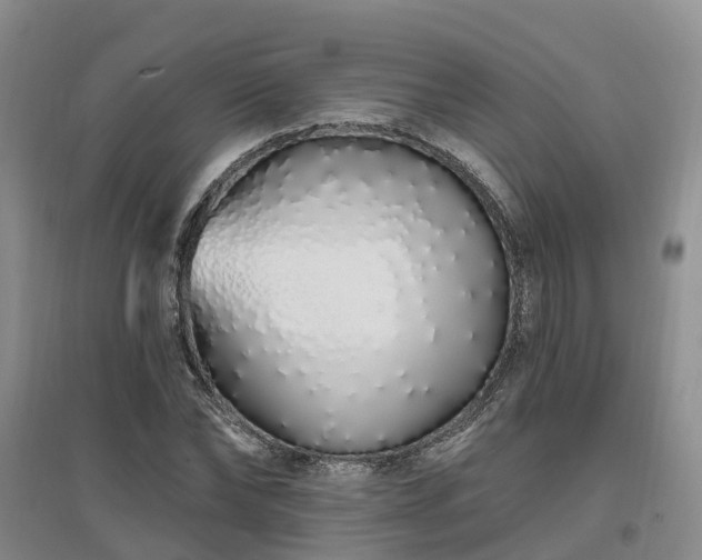 X0000096990878200802151350