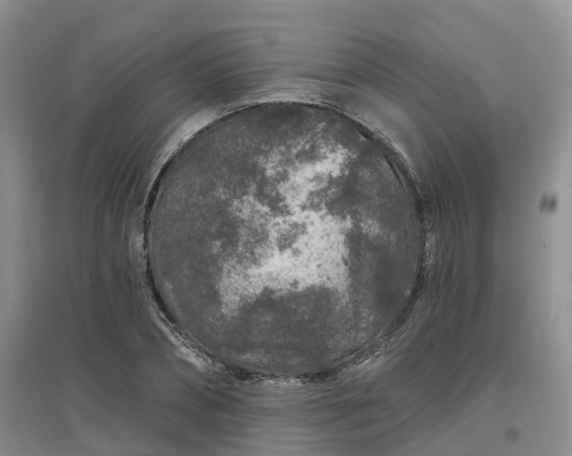 X0000096990882200802151350