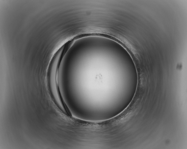 X0000096990885200802151350