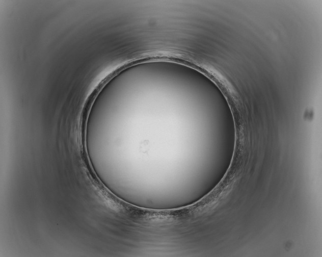 X0000096990886200802151350