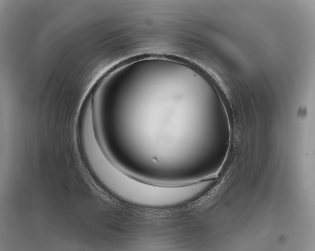 X0000096990887200802151350