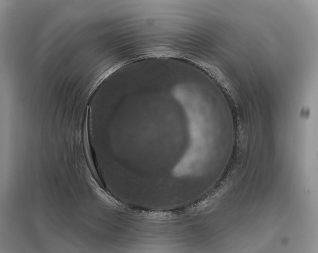 X0000096990889200802151350