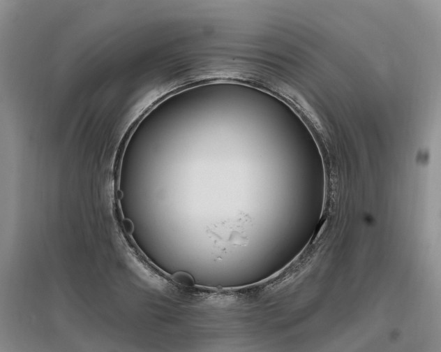 X0000096990890200802151350