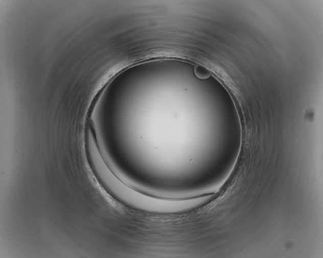 X0000096990898200802151350