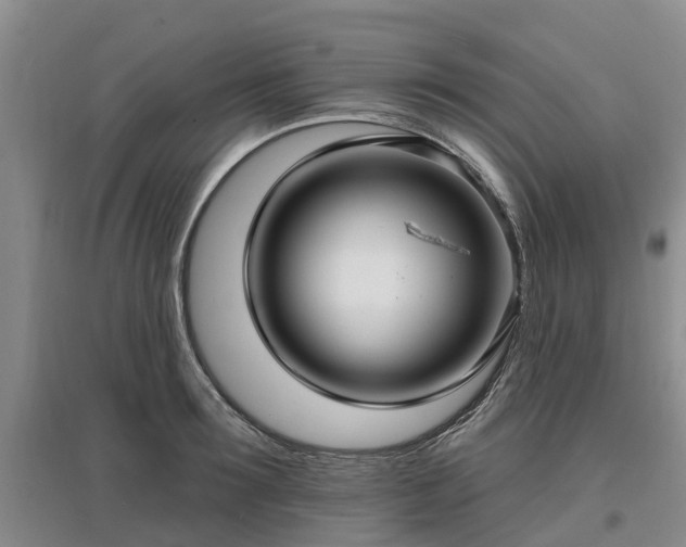 X0000096990899200802151350