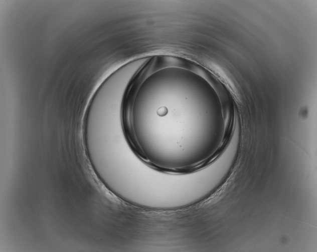 X0000096990900200802151350